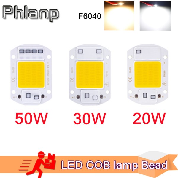 LED COB lamp Bead 20W 30W 50W AC 220V 240V IP65 Smart IC No Need Driver DIY Flood light Led Bulb Spotlight Outdoor Chip Lamp